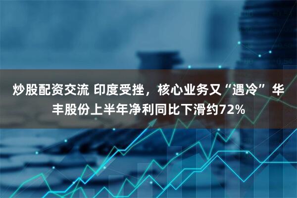 炒股配资交流 印度受挫，核心业务又“遇冷” 华丰股份上半年净利同比下滑约72%